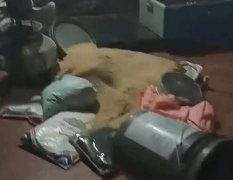 राजगढ़ः सूने मकान का ताला तोड़कर सोने-चांदी के जेवर चोरी