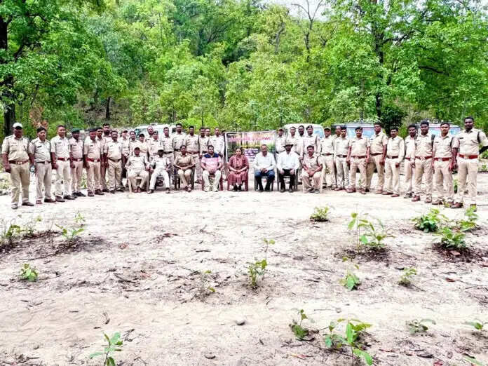 कोरबा वन मंडल में वृक्षारोपण और जल संरक्षण कार्यों की तैयारी तेज, मैदानी अमले को दिया व्यावहारिक प्रशिक्षण