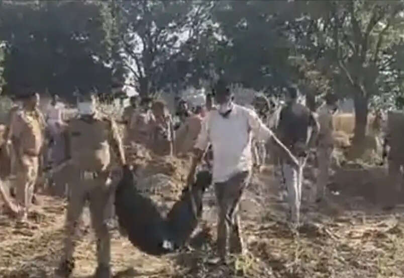 तीन दिन से लापता किशोरी का शव नदी में मिला, पुलिस जांच में जुटी