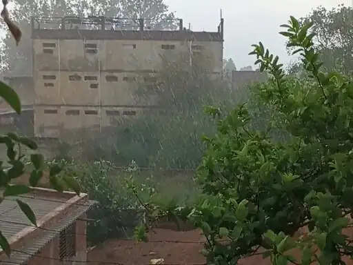 अनूपपुर में हवा और बारिश से बदला मौसम का मिजाज, गर्मी से राहत