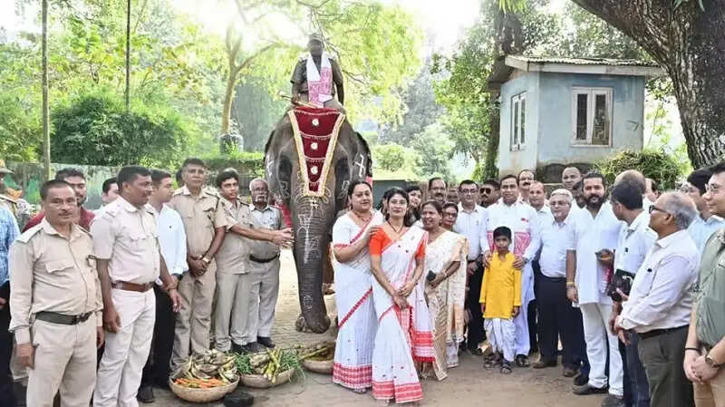 340 करोड़ रुपये से होगा असम चिड़ियाघर का कायाकल्प, पक्षीशाला और टॉय ट्रेन समेत कई नए आकर्षण