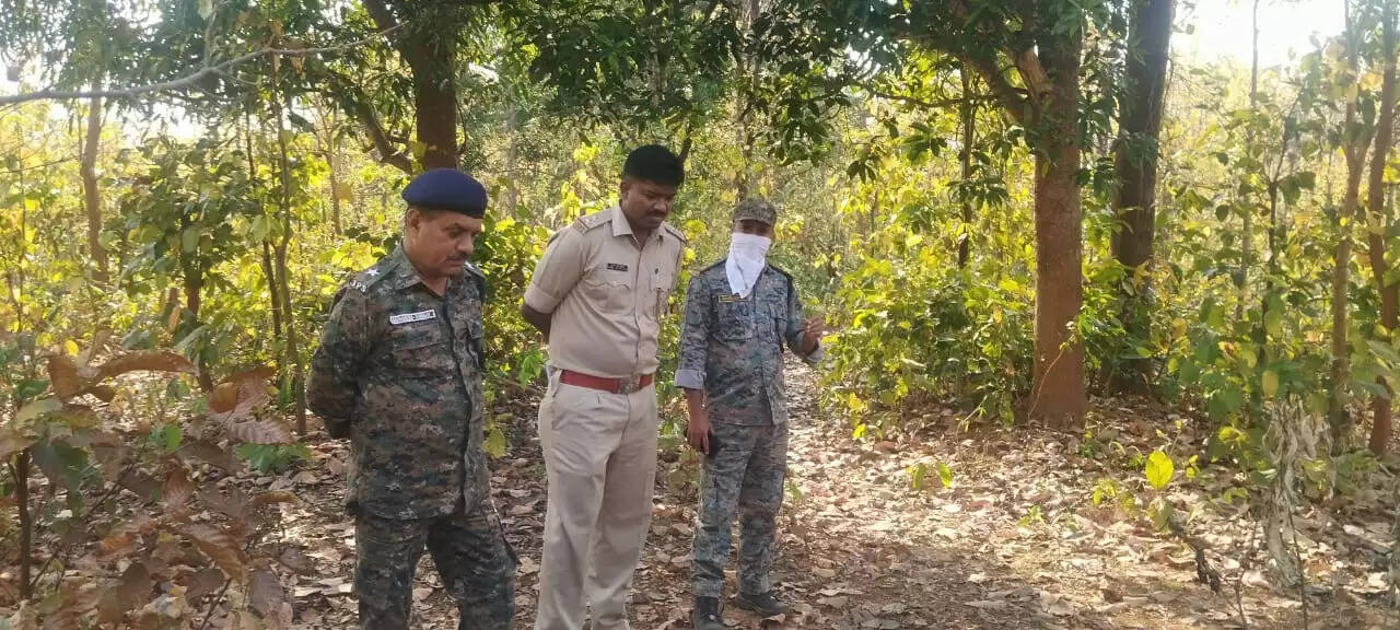 जंगल से महिला का जला हुआ शव बरामद