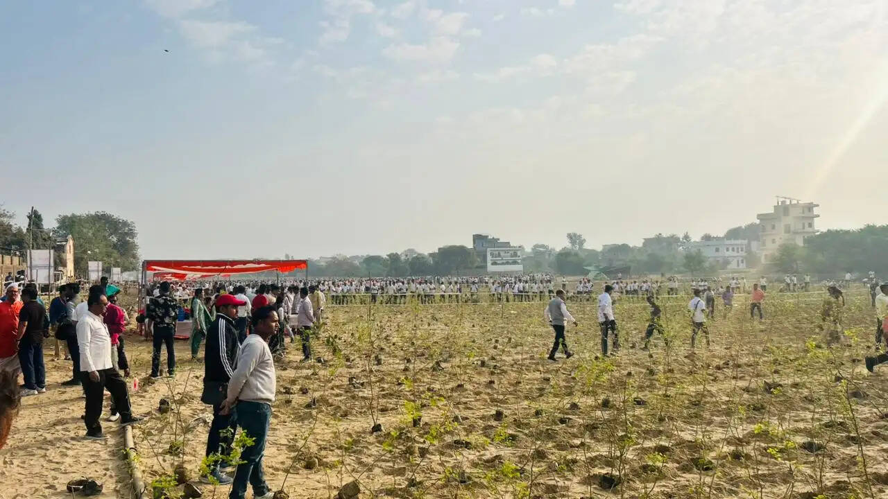 वाराणसी: डोमरी 'शहरी वन' में हर महीने होगा 35 हजार लीटर 'जीवामृत' का छिड़काव