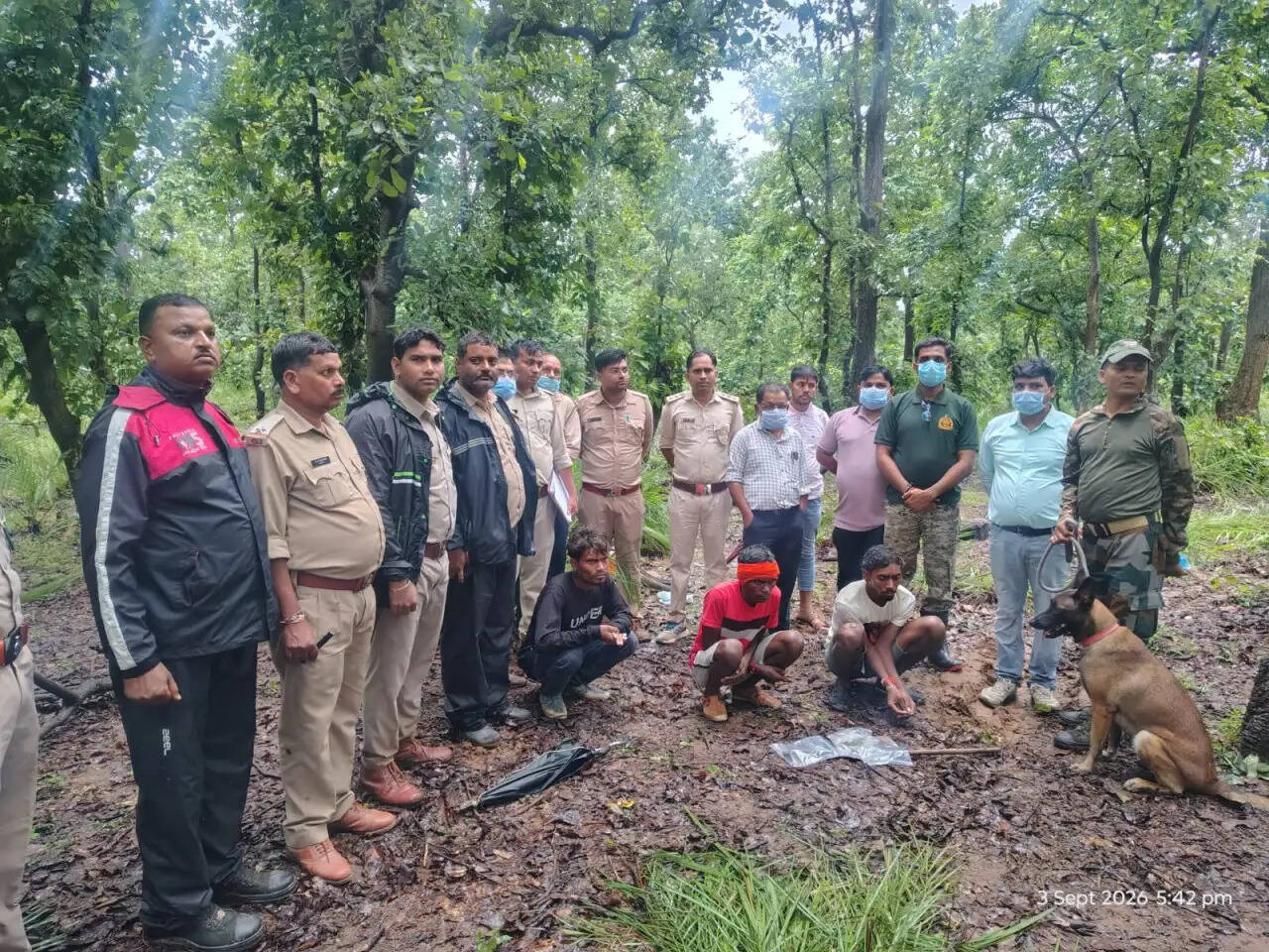 मृत भालू के नाखून काटकर ले जाने वाले दो आरोपित गिरफ्तार