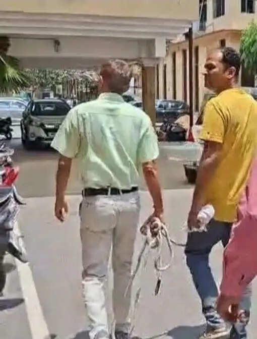 बोकारो ट्रेजरी घोटाला में सीआईडी ने की पहली गिरफ्तारी