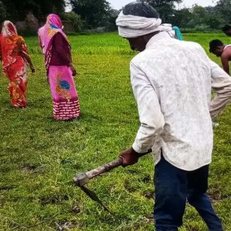 आधी आबादी को आत्मनिर्भर बनाने की योजना को लगा झटका