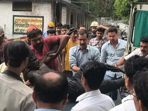 शहडोल : भूमिगत कोयला खदान में स्टॉपिंग वॉल निर्माण के दौरान छत गिरने से दो मजदूरों की मौत, 6 घायल