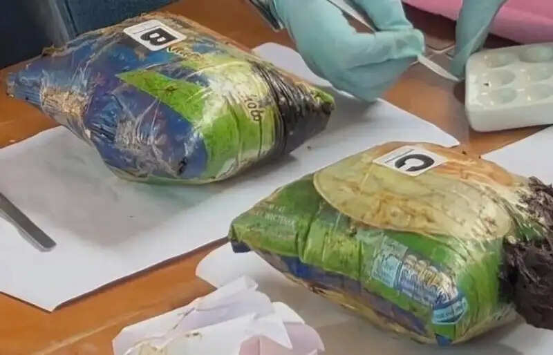 इंफाल हवाई अड्डे पर दो किलो अफीम जब्त, प्रीपाक (प्रो) उग्रवादी गिरफ्तार