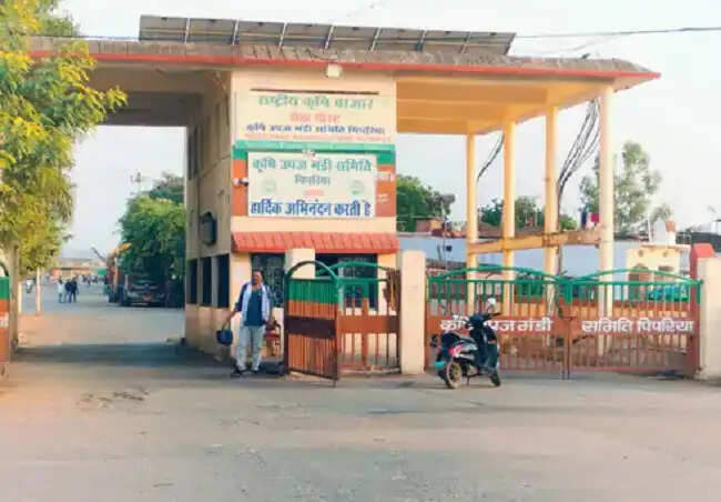 मप्रः मंडी शुल्क वृद्धि के विरोध में आज अनाज व्यापारियों की हड़ताल, प्रदेशभर में बंद रहेंगी मंडियां