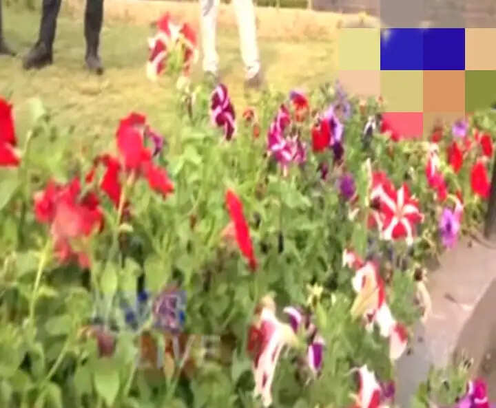 काजीरंगा में सरकारी ऑर्किड उद्यान का उद्घाटन 3 मार्च को करेंगे मुख्यमंत्री डॉ. सरमा