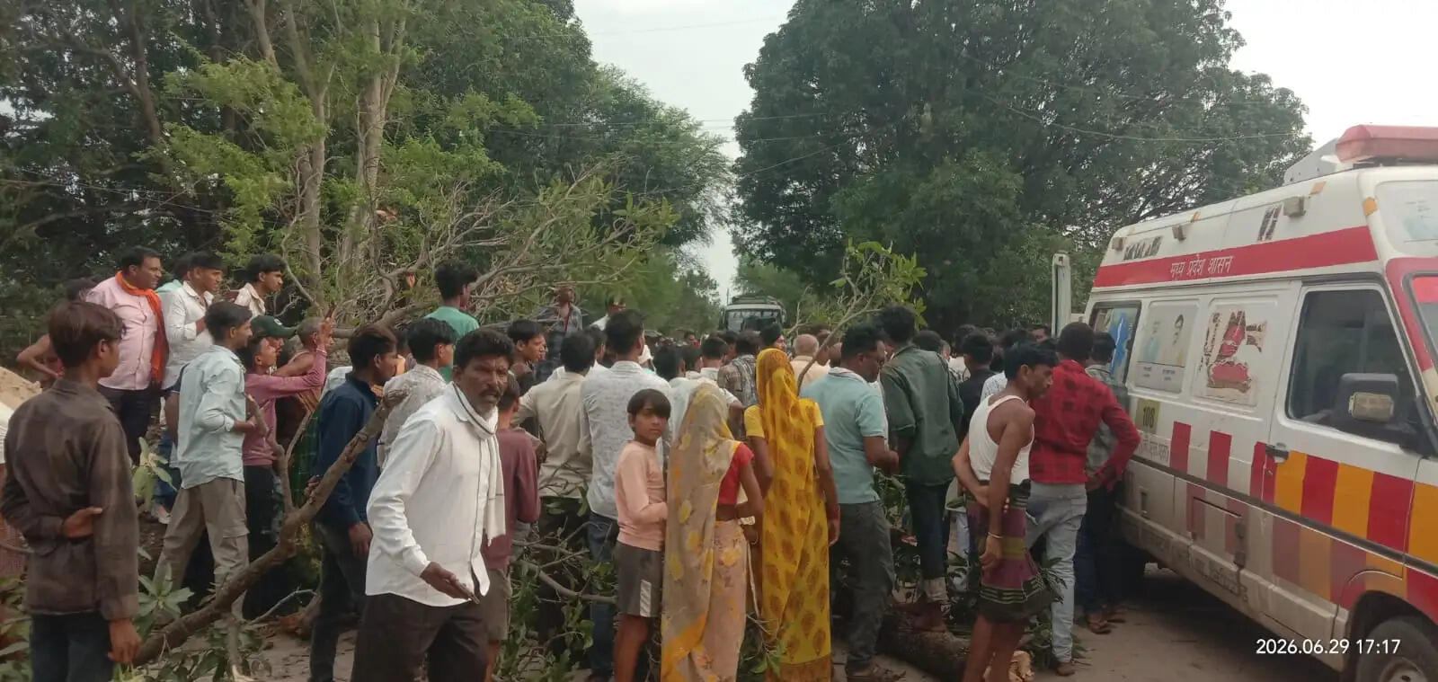 दमोह: चलती बाइक पर अचानक गिरा विशाल आम का पेड़, पति-पत्नी की मौत