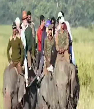 काजीरंगा राष्ट्रीय उद्यान में एक नवंबर से शुरू होगी हाथी सफारी