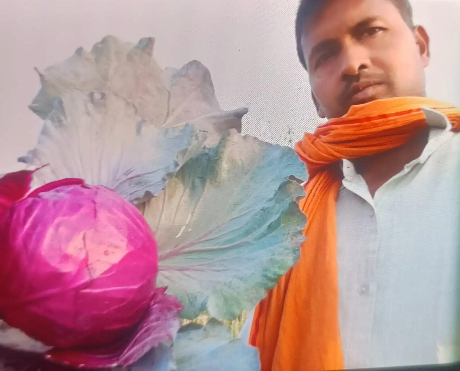 देवरिया : पारंपरिक खेती छोड़ उद्यानिकी से बढ़ी किसान जय सिंह की आमदनी