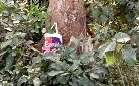 सागरदिघी में आमबागान से बरामद 18 ताजा बम