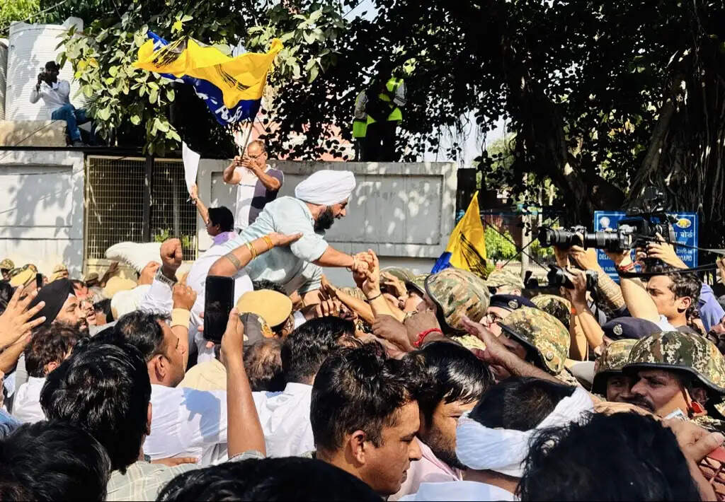आआपा ने मतदाता सूची से नाम हटाने के विरोध में किया प्रदर्शन, 10 अक्टूबर को देशव्यापी आंदोलन का ऐलान