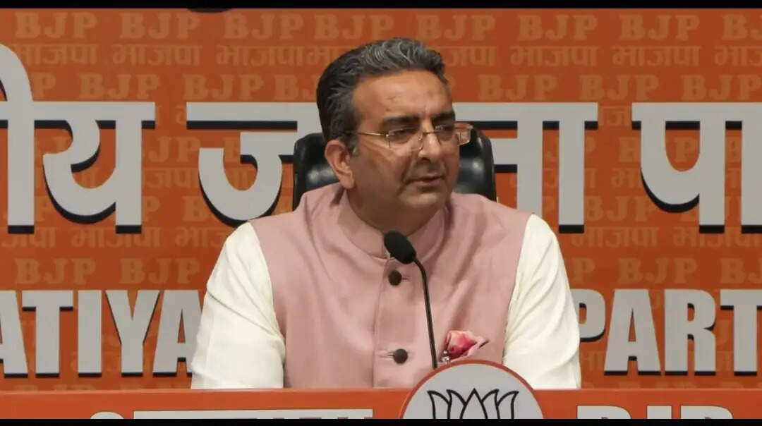 भाजपा ने कहा- राहुल गांधी नहीं चलने दे रहे संसद की कार्यवाही