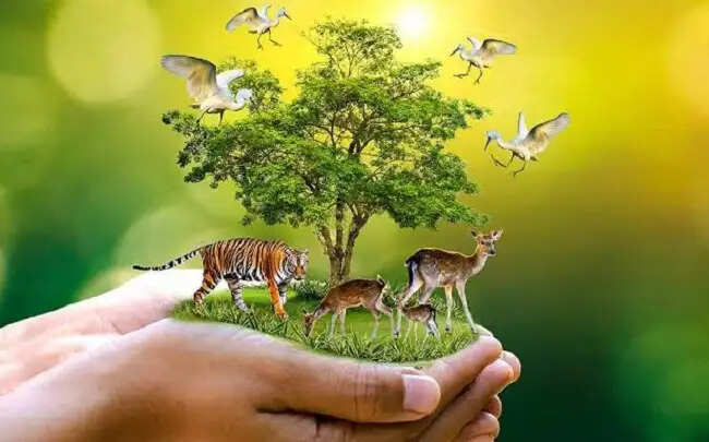 मप्रः प्रतिबंधित वन्य-जीवों की अवैध बिक्री एवं पालन पर होगी सख्त कार्रवाई