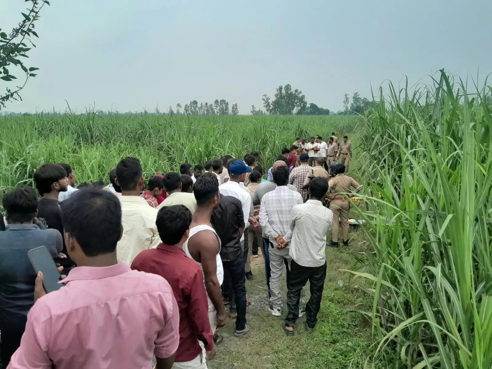 पसगवां में गन्ने के खेत के किनारे मिला युवक का शव, ससुराल पक्ष पर हत्या का आरोप, फॉरेंसिक टीम ने जुटाए साक्ष्य