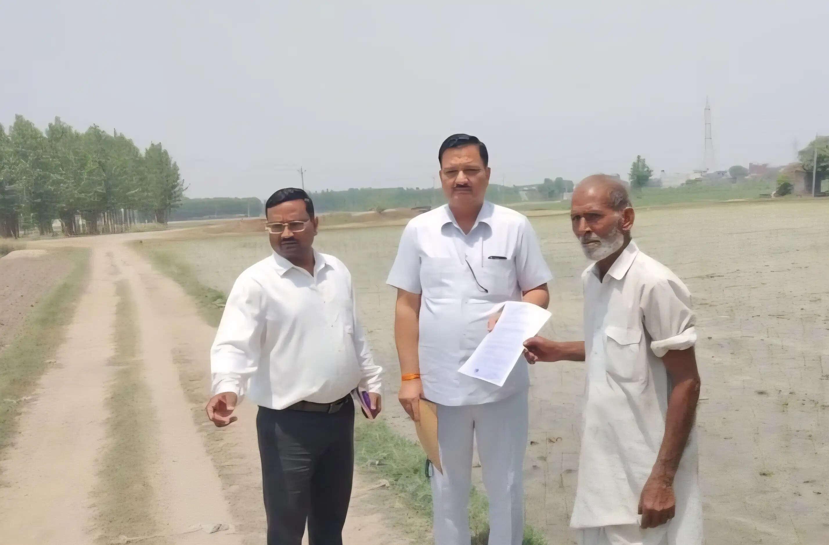 यमुनानगर में किसानों समय से पहले की धान की रोपाई, फसल नष्ट करने के नोटिस जारी