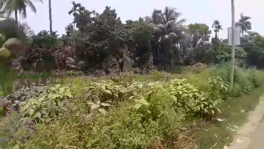 सरकारी जमीन पर कब्जे के आरोप में प्रदर्शन, पार्षद के खिलाफ एफआईआर की चेतावनी