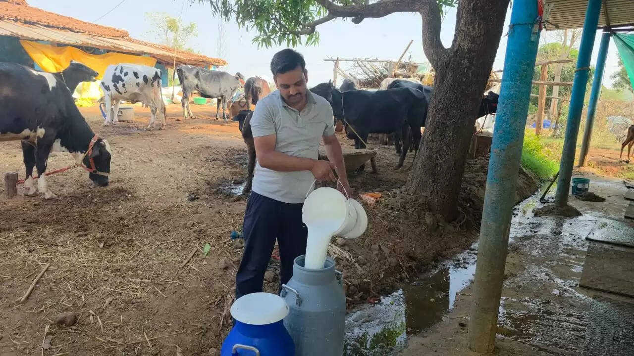 अंबिकापुर : सरगुजा के राजनाथ यादव ने डेयरी व्यवसाय से खड़ा किया सालाना 10 लाख का साम्राज्य