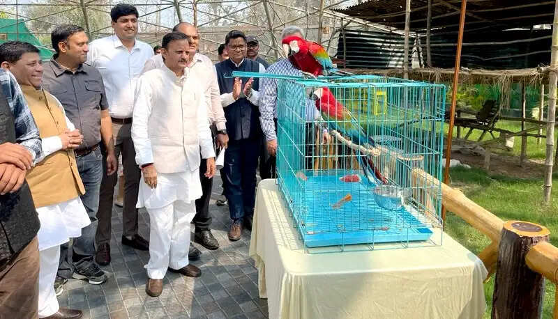 मप्रः मुकुंदपुर जू का एवियारी विदेशी पक्षियों से हुआ गुलजार
