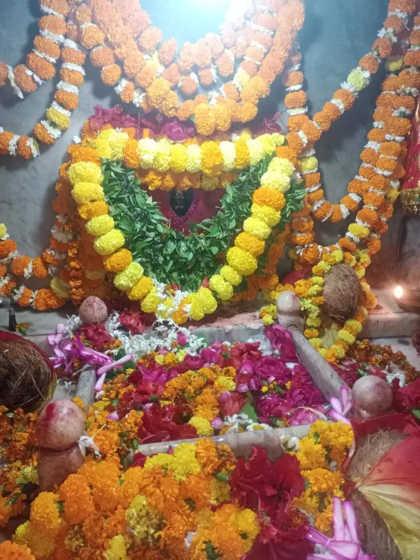 गड़बड़ा शीतला धाम में उमड़ा आस्था का सैलाब, डेढ़ लाख भक्तों ने किए दर्शन