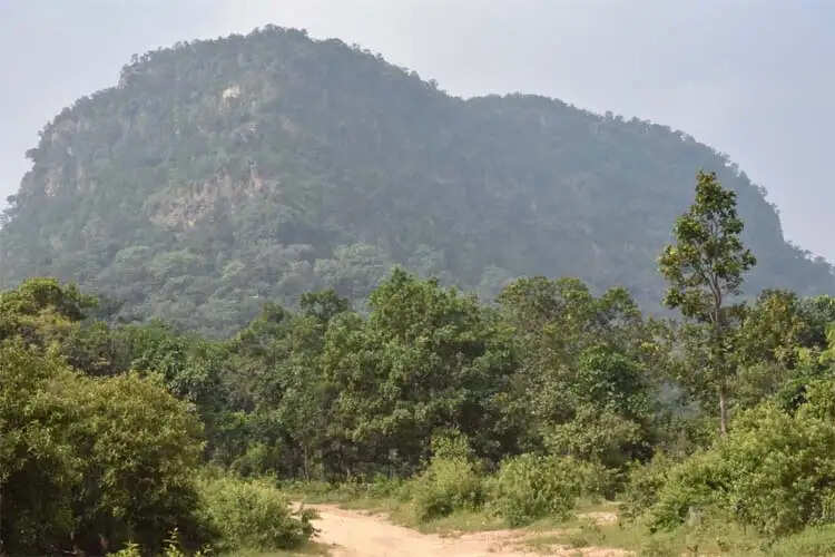 आषाढ़ के प्रथम दिवस पर 29 एवं 30 जून को होगा भव्य रामगढ़ महोत्सव