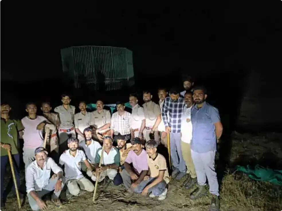 अमरेली : इंसान पर हमला करने वाले चार शेरों को किया पिंजर में कैद