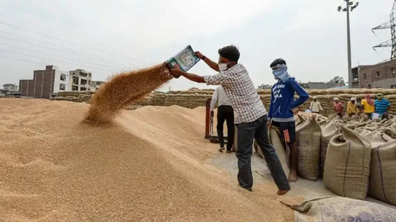 मप्र में 3 लाख 5 हजार 422 किसानों से खरीदी गई 12 लाख 94 हजार 497 मीट्रिक टन गेहूं