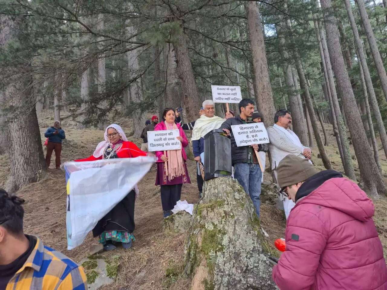 हर्षिल वैली में ऑल वेदर सड़क में देवदार के पेड़ों पर बांधे रक्षा सूत्र