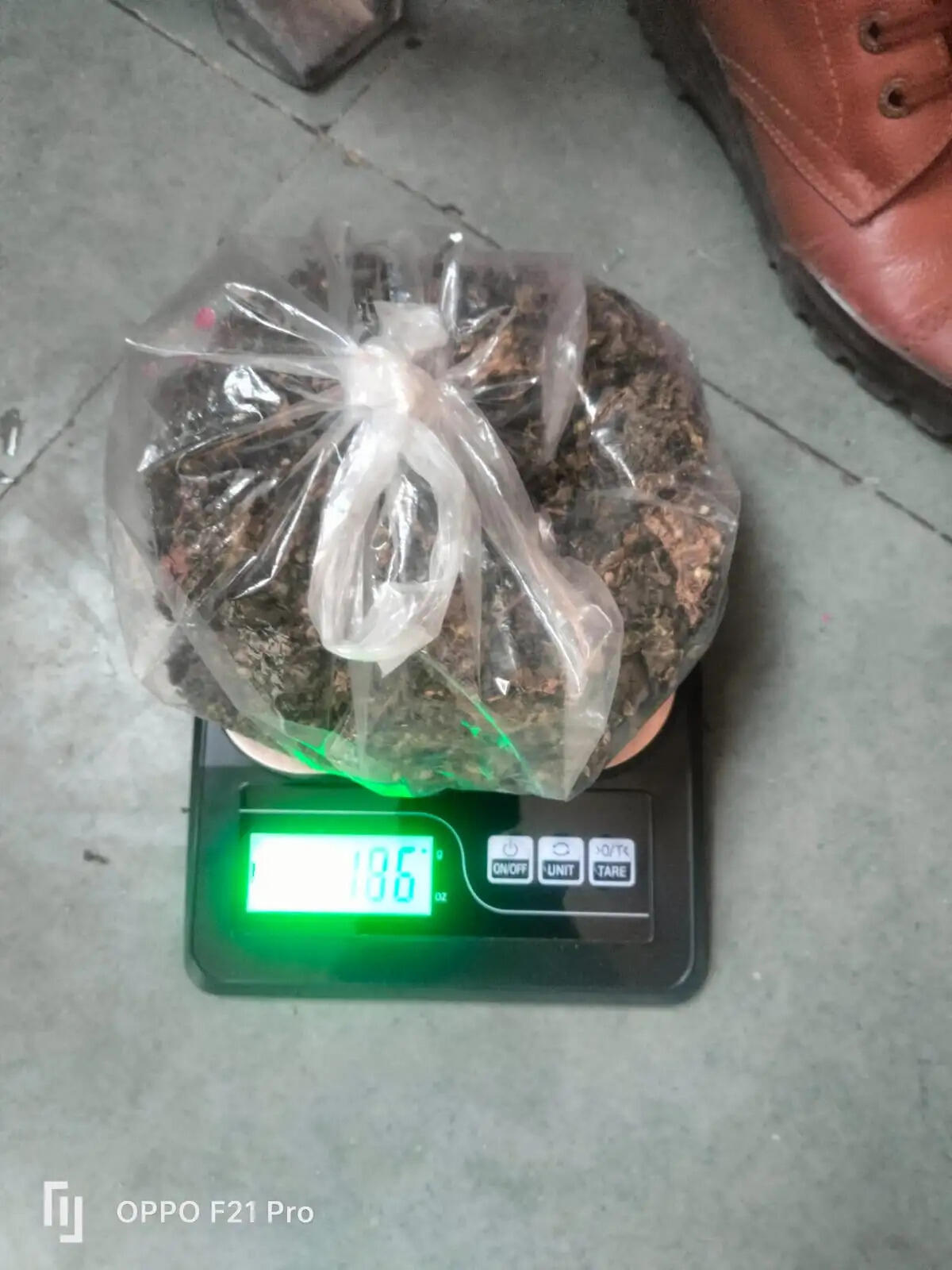 नशे के खिलाफ ‘एंटी-वेनम’ अभियान में पहले दिन 15 आरोपी गिरफ्तार