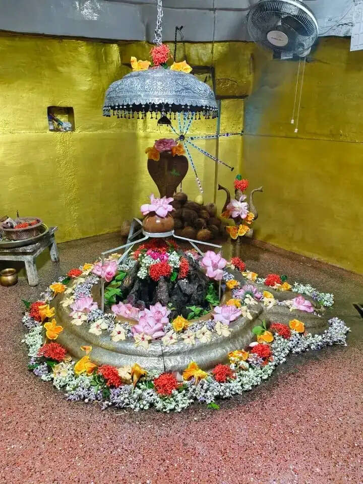 सावन के प्रथम सोमवार पर आस्था का महासंगम, खरौद के प्राचीन लक्ष्मणेश्वर महादेव मंदिर में उमड़ी शिवभक्तों की भीड़