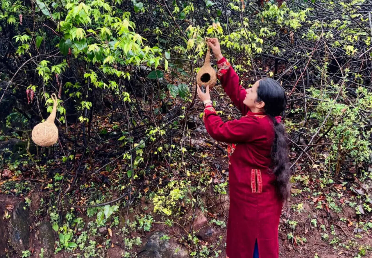 विश्व गौरैया दिवस पर क्षेत्रीय प्रयोगशाला सुंदरनगर की विशेष पहल