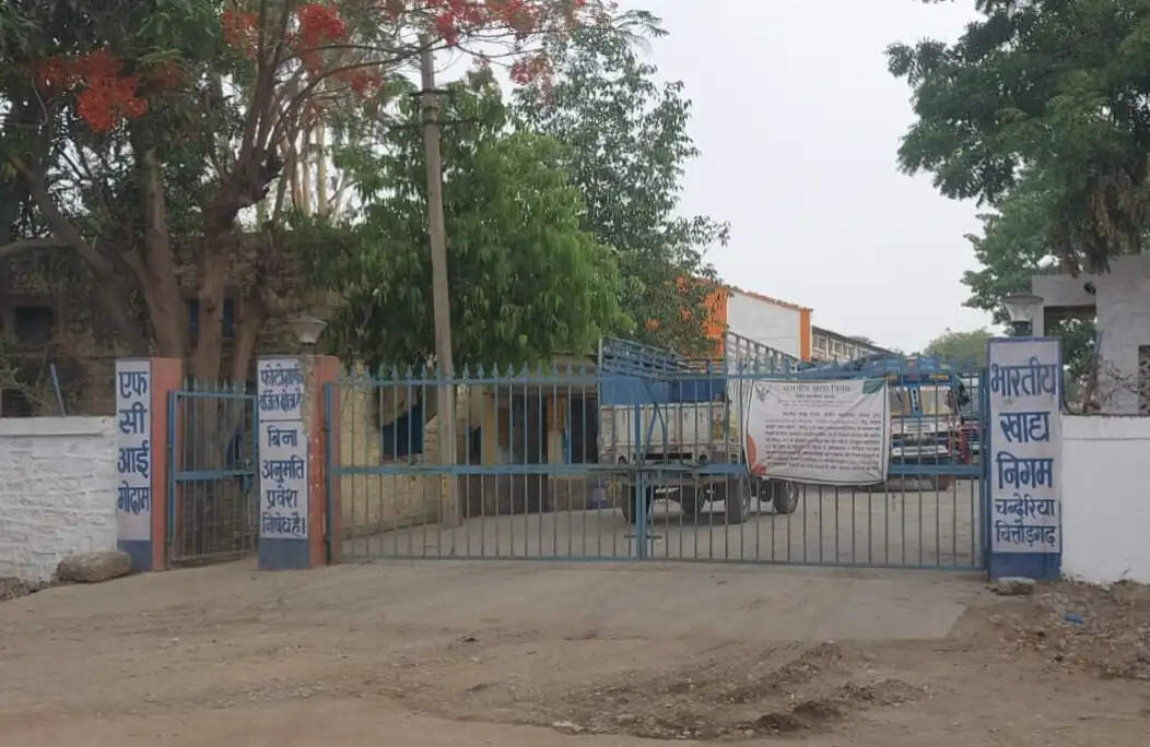 'मालव राज' की निम्बाहेड़ा में नहीं हो रही खरीद, नए किस्म के गेहूं को लेकर किसान परेशान