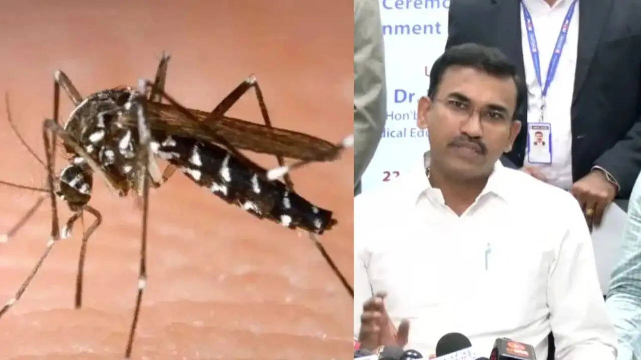 तमिलनाडु में डेंगू के 9,000 मामले, स्वास्थ्य मंत्री ने की जलभराव रोकने की अपील