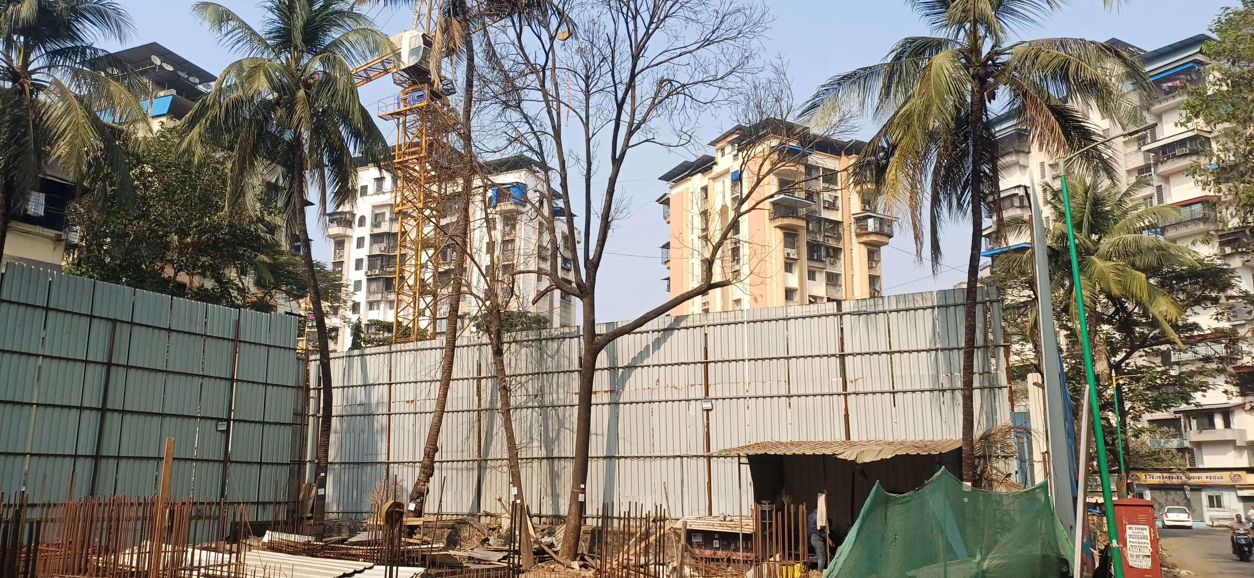 विकास के बहाने शहरी ढांचा बदलने से हरियाली का विनाश