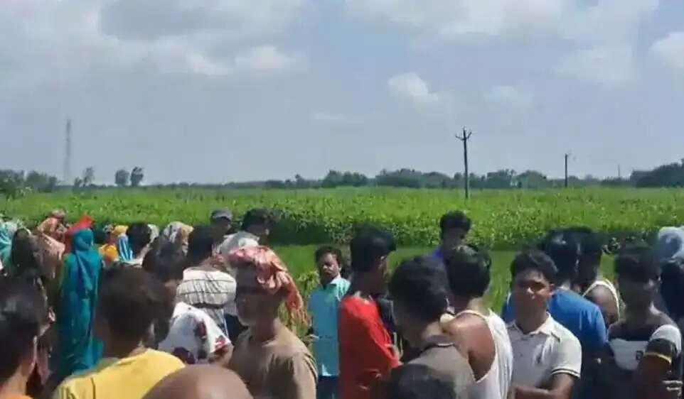 मरिया धार में मिला दो शव,बहकर आने की आशंका,पुलिस जांच में जुटी