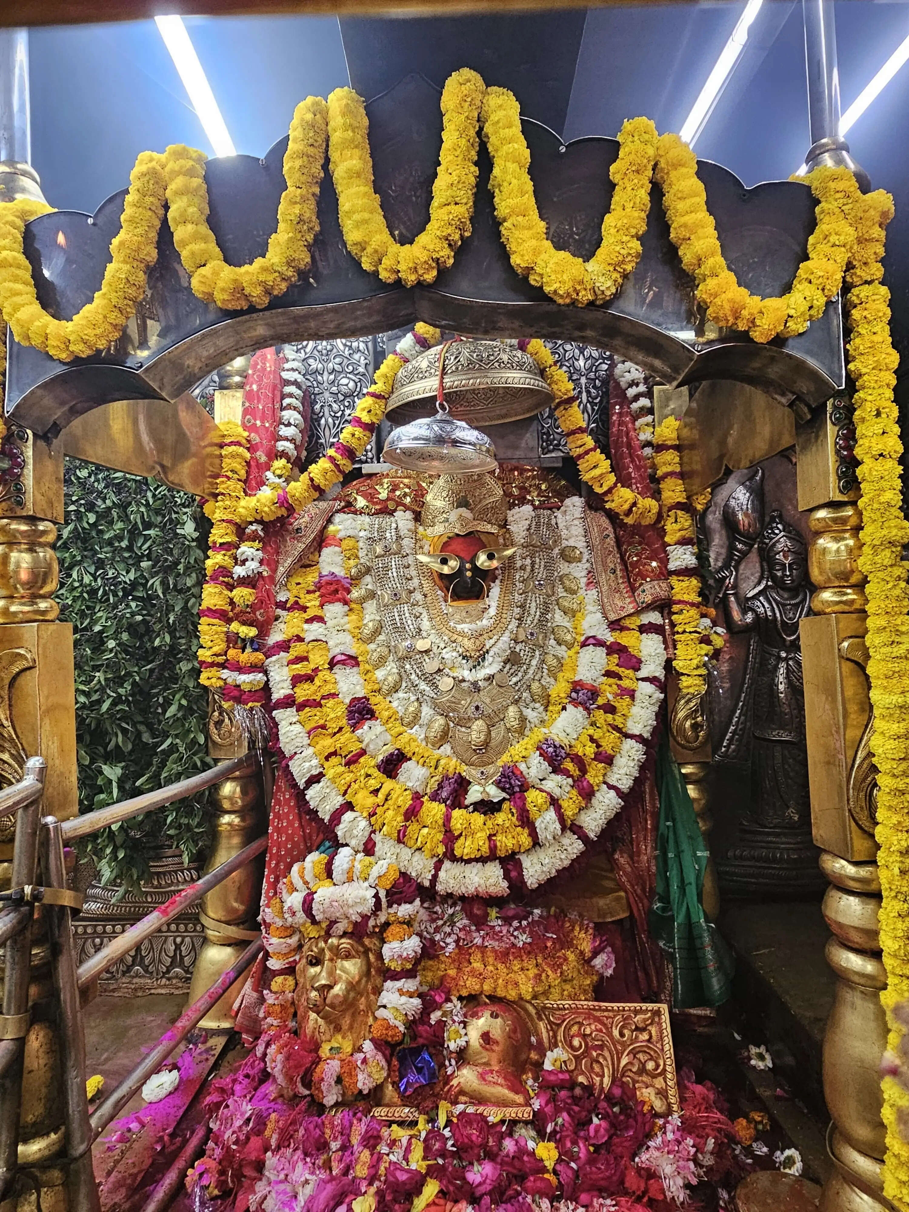 रंगभरी एकादशी पर उमड़ा आस्था का सागर, जयकारों से गूंजा विंध्यधाम