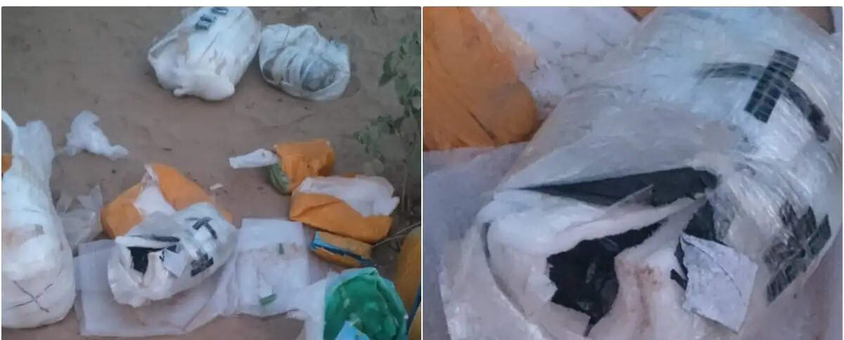 सीमापार से ड्रोन के जरिए गिराए हथियार, विस्फोटक, पंजाब के दो युवक गिरफ्तार