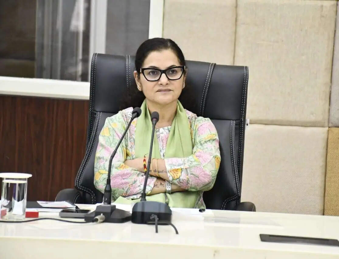 बलरामपुर में पीएम सूर्यघर योजना के तीन हजार से अधिक आवेदन, कलेक्टर ने बैंकों को लंबित प्रकरण जल्द निपटाने के दिए निर्देश