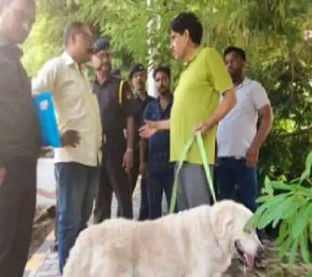 बिना लाइसेंस श्वान पालन पर नगर&nbsp;निगम लखनऊ ने चलाया सघन चेकिंग अभियान, वसूला जुर्माना