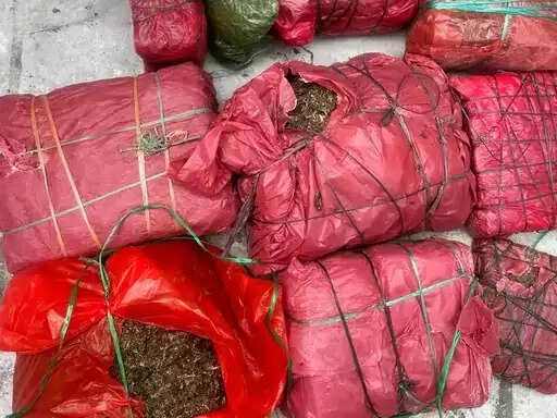 सेंट्रल ब्यूरो ऑफ नारकोटिक्स ने पकड़ा गया 48 किलो गांजा