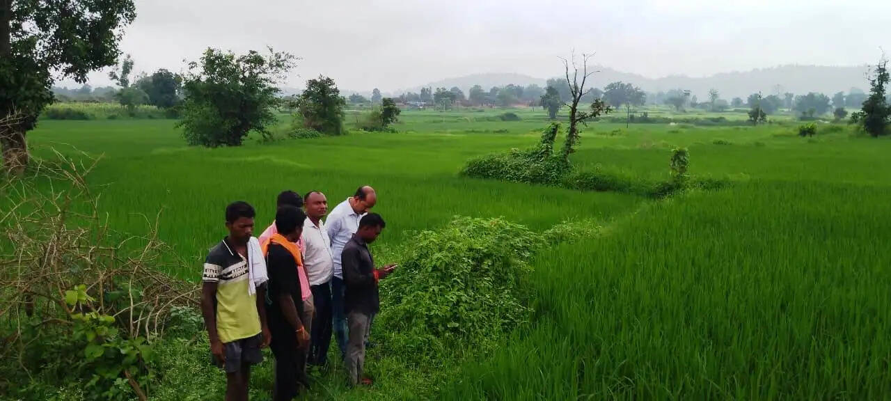 डिजिटल क्रॉप सर्वे से खेतों में बोई गई फसलों का बनेगा सटीक रिकॉर्ड
