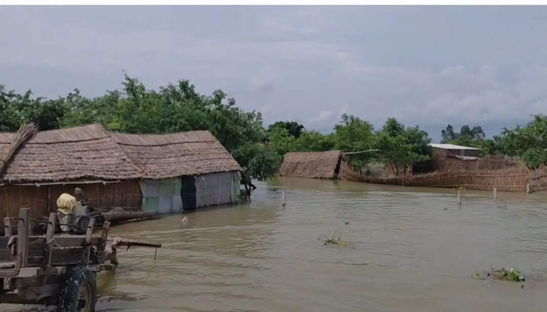 खतरे के निशान पर पहुंचा गंगा का जल स्तर, बाढ़ चौकिया अलर्ट
