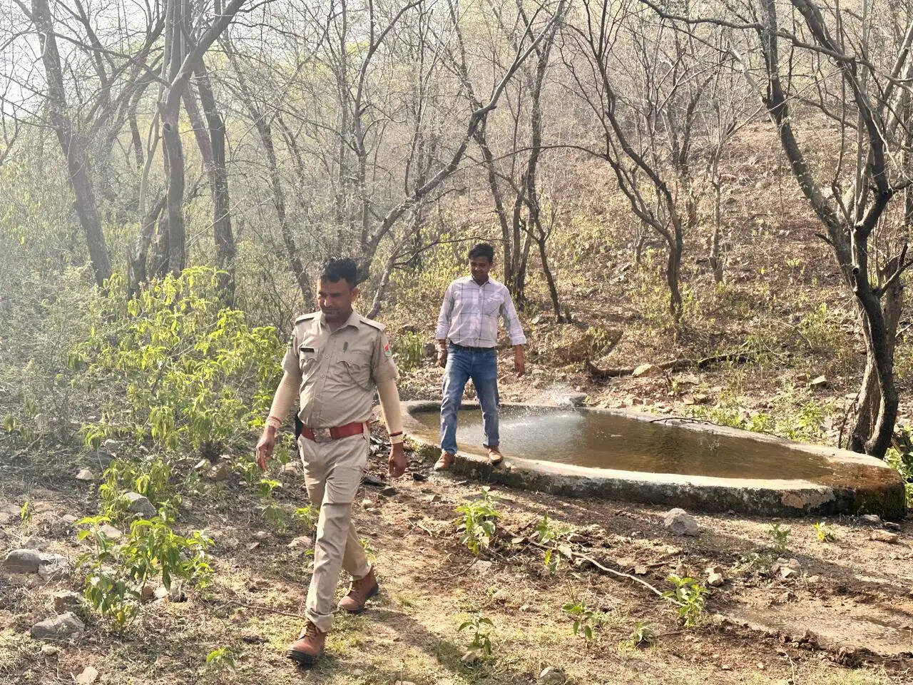 नाहरगढ़ जैविक उद्यान में वन्य जीव गणना की तैयारियां पूरी: पहली बार महिला दल संभालेंगे जिम्मेदारी