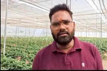 सब्सिडी से नीरज की बदली तकदीर, जरबेरा की खेती से लाखों की कमाई