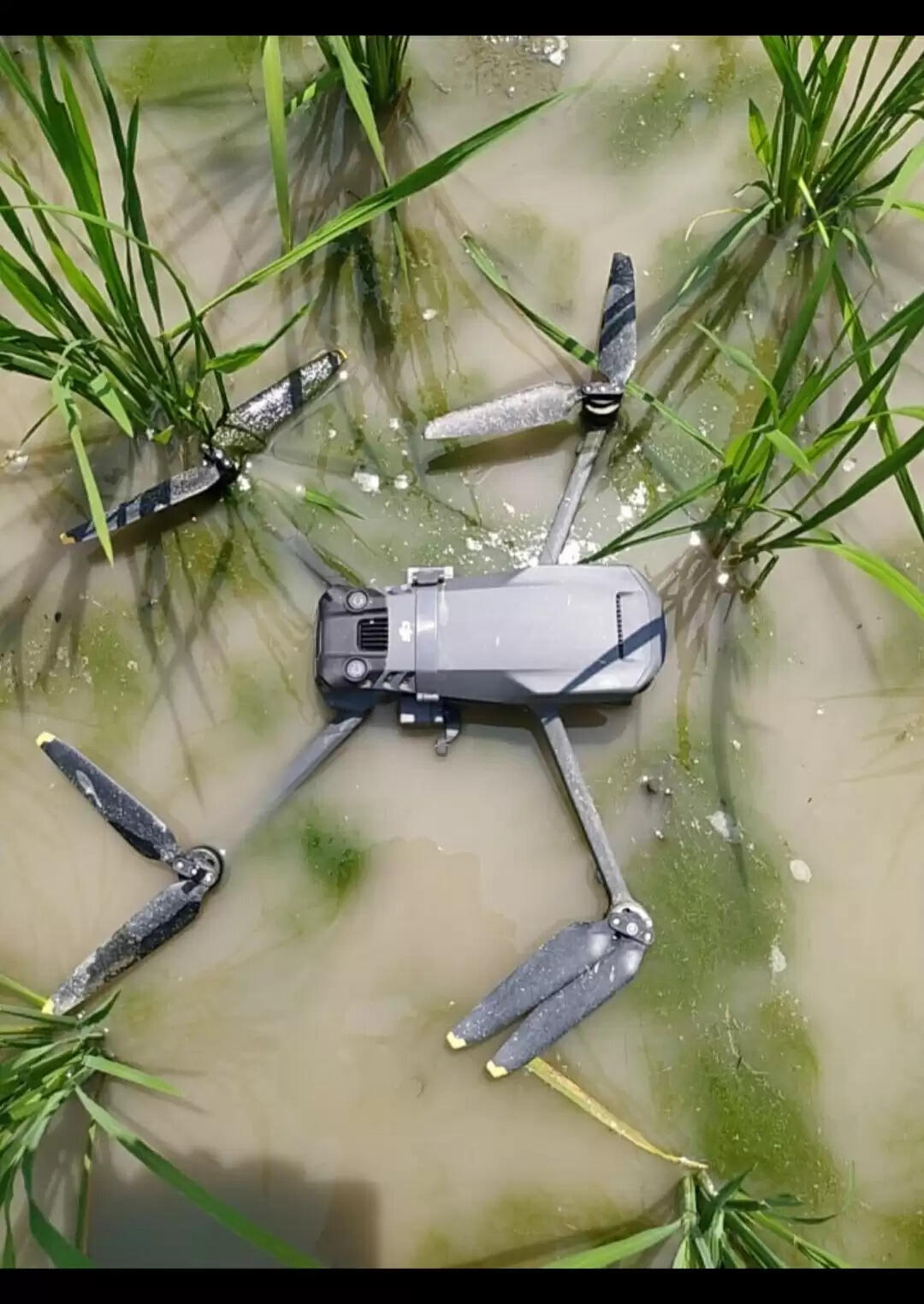 पंजाब के खेमकरण सेक्टर से पाकिस्तानी ड्रोन बरामद