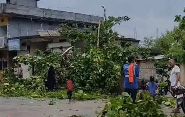 मप्र&nbsp;में प्री-मानसून का असर तेज, शाजापुर में ओलावृष्टि, नर्मदापुरम में छात्रावास पर गिरा पेड़