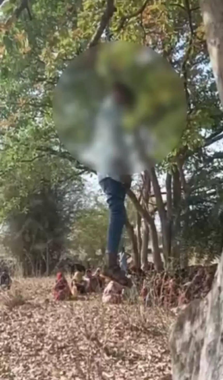 राजगढ़ः पेड़ पर लटका मिला युवक का शव